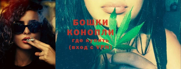 прущие грибы Сосновый Бор